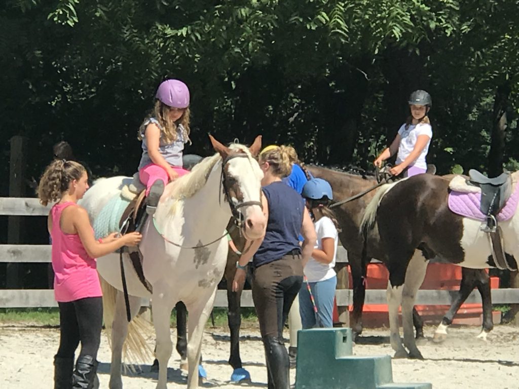 Summer Camps and Riding Lessons are in full swing at Graham!