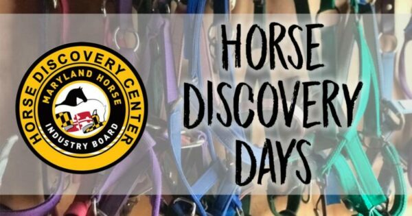 Horse Discovery Days at Graham Equestrian Center